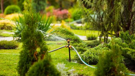 Mantenimiento de jardines Málaga